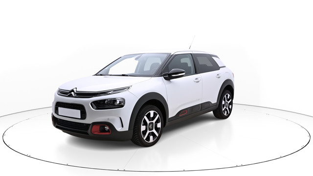 C4 Cactus SHINE