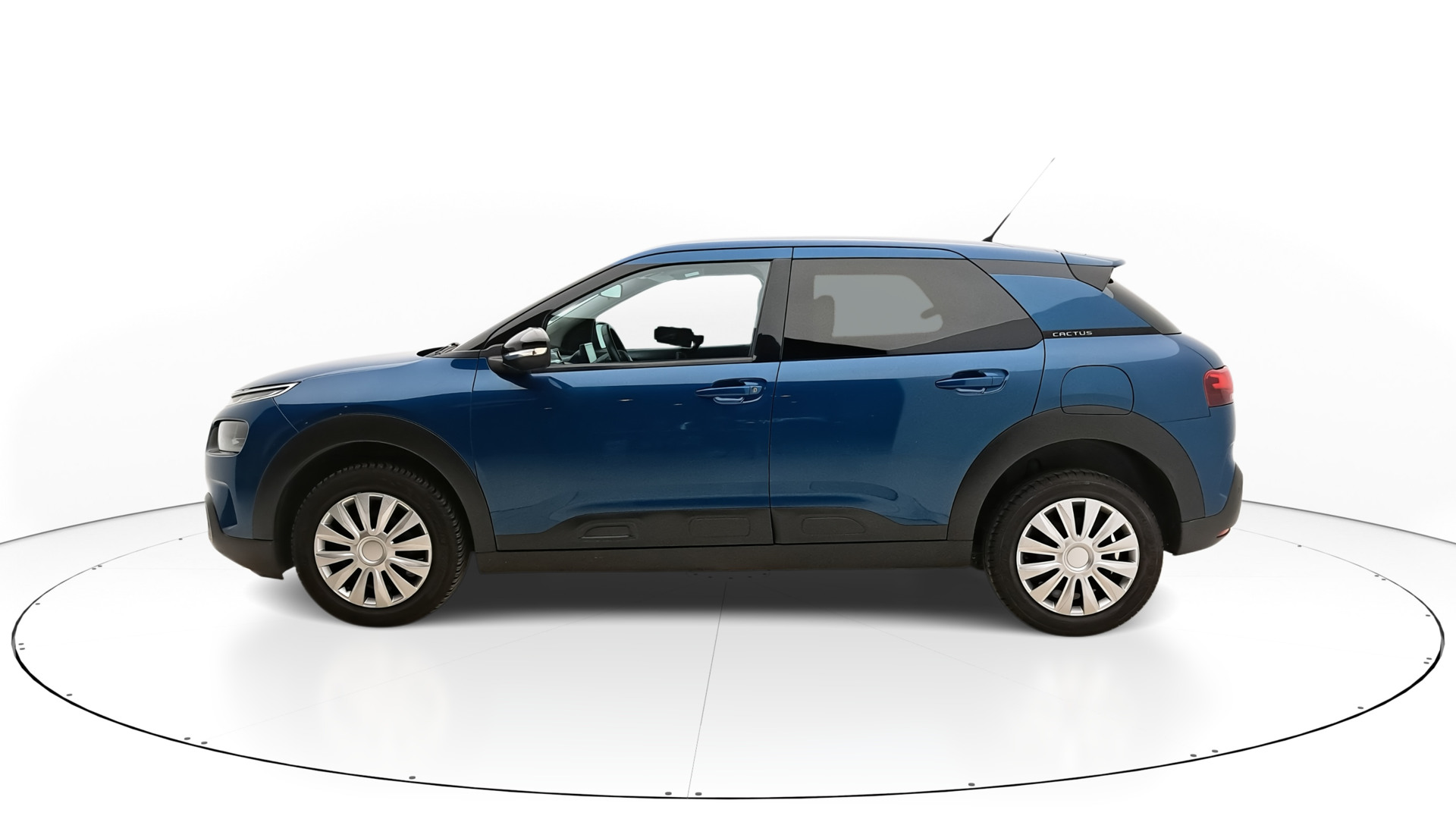 Vue du profil gauche C4 Cactus